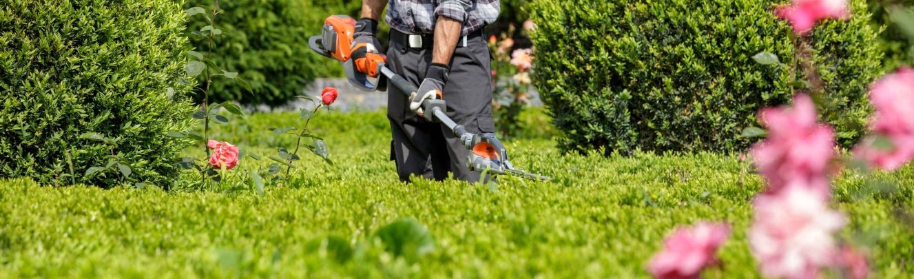 Guide til de 6 mest populære hækkeklippere hos 10-4.dk