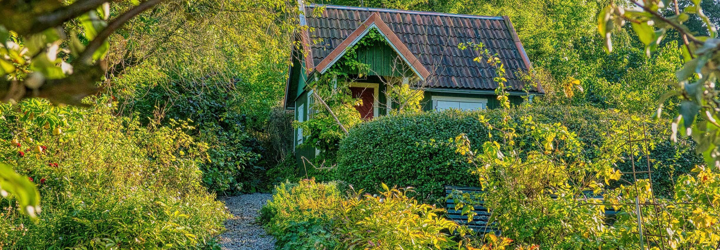 Årets gang i hus og have i maj måned 10-4.dk