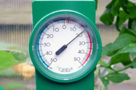 Vælg rette drivhus 10-4.dk