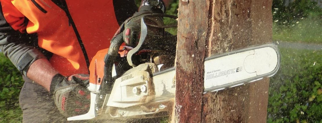 Vælg den rette motorsav 10-4.dk