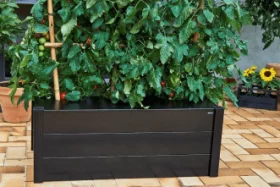 Vælg rette drivhus 10-4.dk