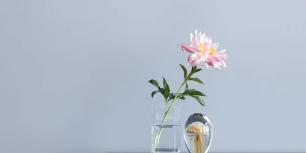 Hvilken glansgrad skal man male med hos 10-4.dk