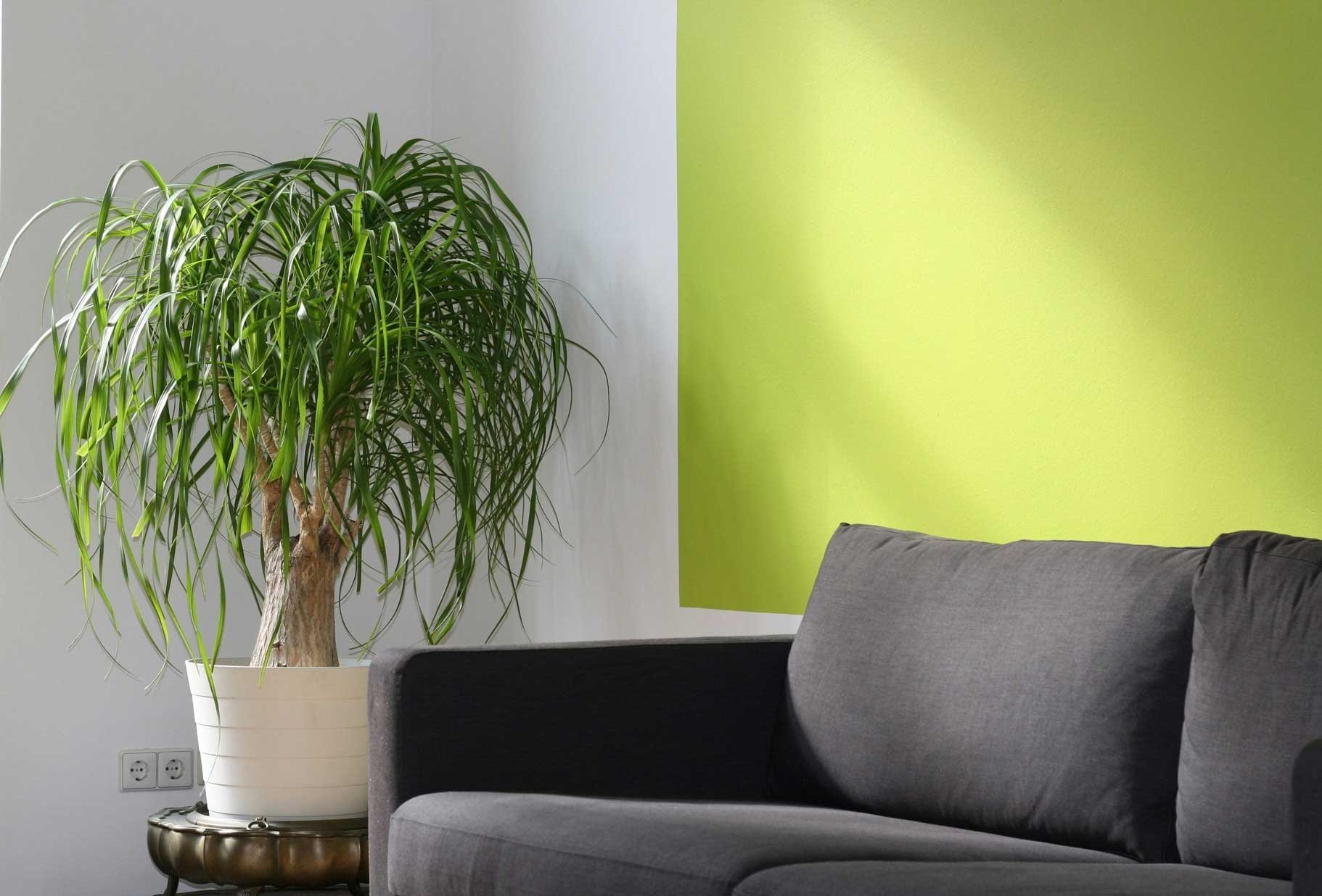 Årets gang i hus og have i april 10-4.dk