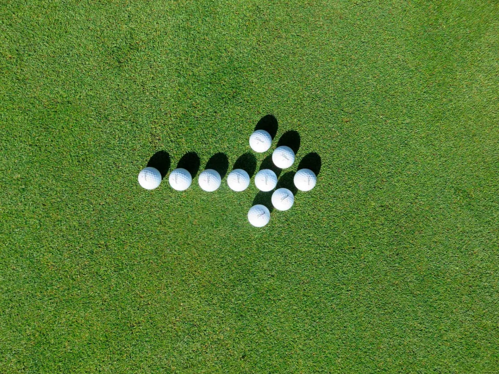 Guide til en smuk græsplæne 10-4.dk