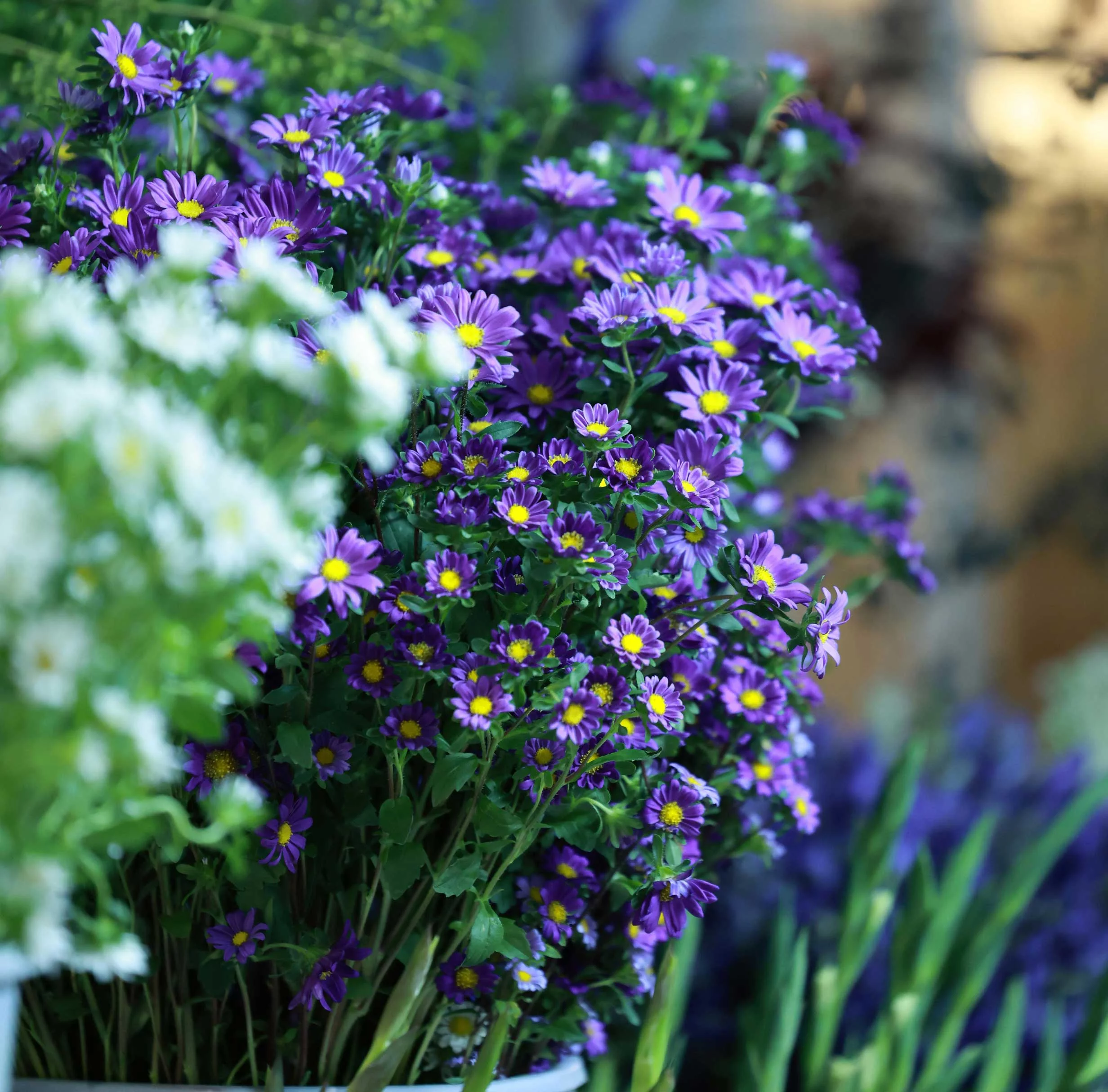 Plantning i murerbaljer, smarte tips og ideer 10-4.dk