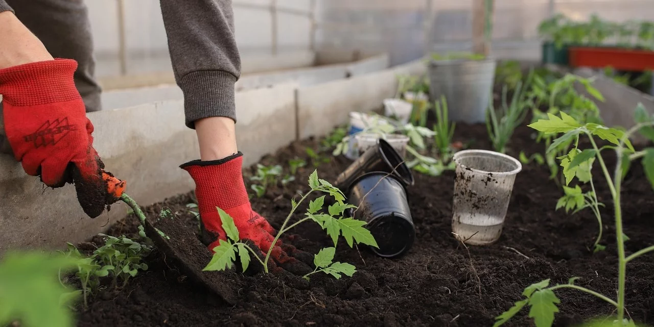 Guide til valg af jord i drivhuset 10-4.dk