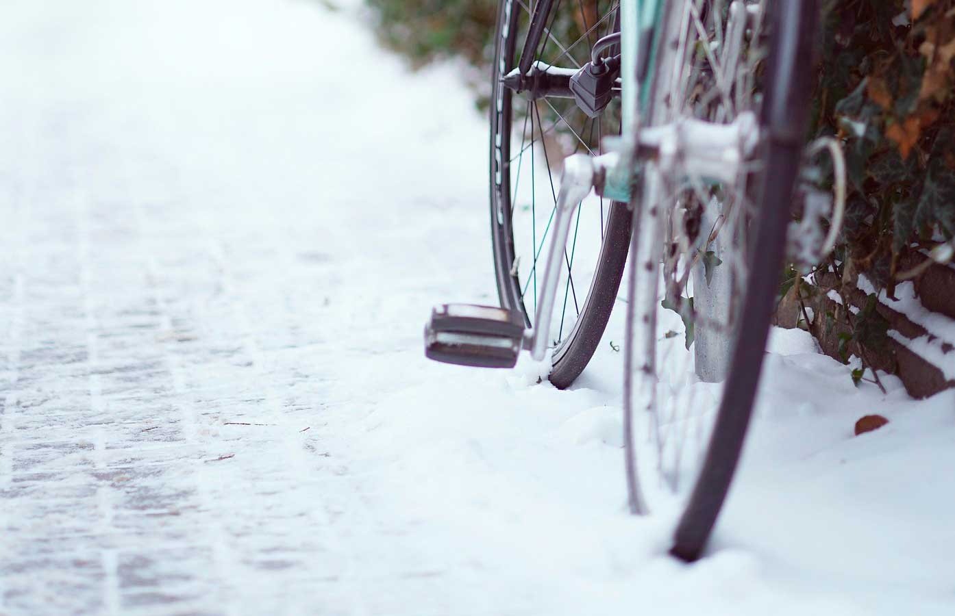 Huset og haven i december 10-4.dk