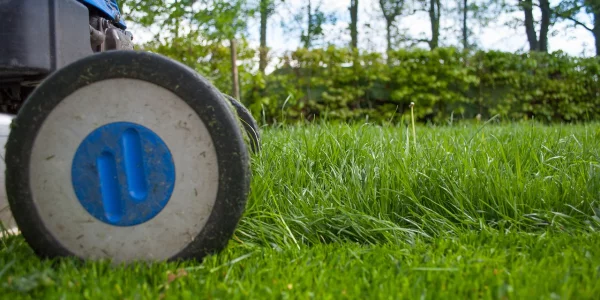 Guide til valg af plæneklipper hos 10-4.dk