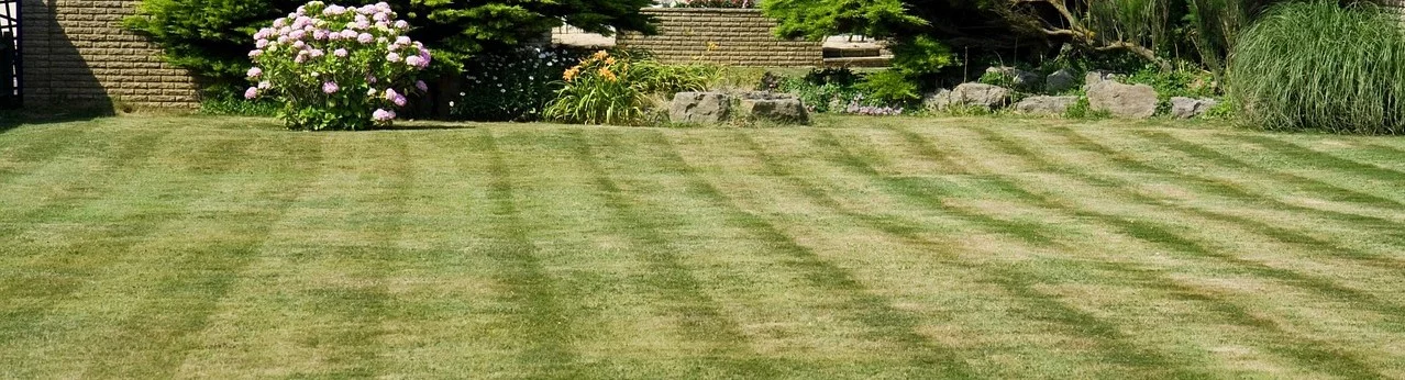 Sådan plejer du græsplænen hos 10-4.dk