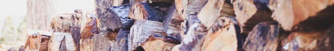 Vælg den rette motorsav 10-4.dk